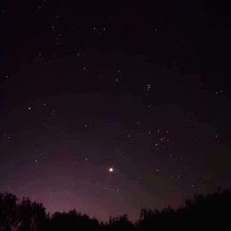 LongPort - 初入美股的小龙