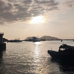 LongPort - 小黄毛