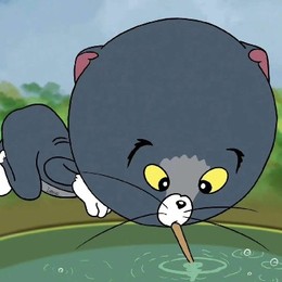 LongPort - 买的伟大-套的光荣