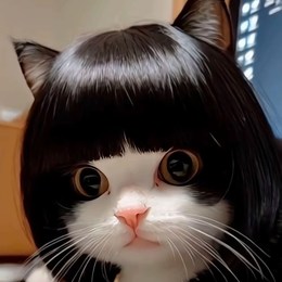 LongPort - 将军路的草莓