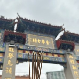 LongPort - 梅林靓猫