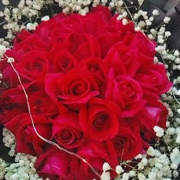 LongPort - 五叶神