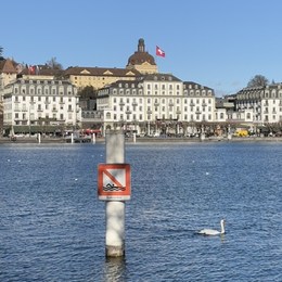 LongPort - 六六大顺呀