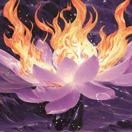 LongPort - 魔丸火蔓蔓