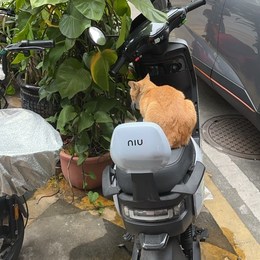 LongPort - 梅董的交易员2号