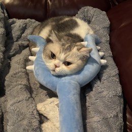 LongPort - 个人养老账户