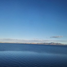 LongPort - 鲁西医资