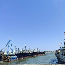 LongPort - 脑在飞嘴在追