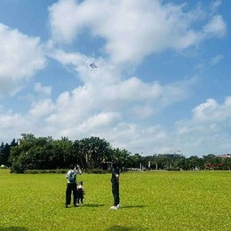 LongPort - 顺势而为%