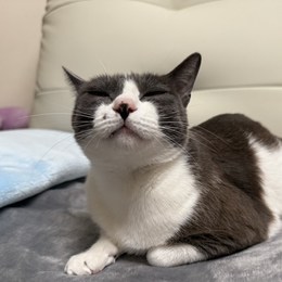 LongPort - 猪猪-在股市浮沉