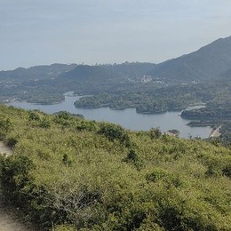 LongPort - 荔枝之王