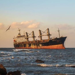 LongPort - 小果的自由之旅