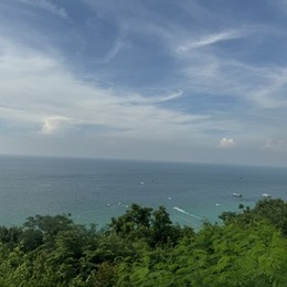 LongPort - 提莫爱隐身
