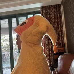 LongPort - A I 价值投资