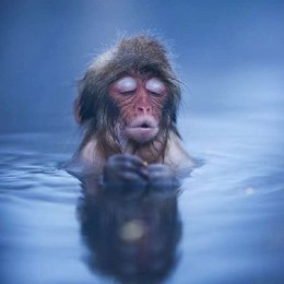 LongPort - 阿灿司乌苏