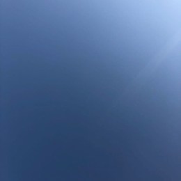 LongPort - 爱琴海ᐞ･֊･ᐞฅ