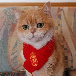LongPort - 招财猫娜娜
