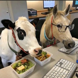 LongPort - 冷漠无情的韭菜收割机