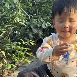 LongPort - 唐山马斯克