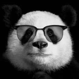 LongPort - 我本善