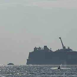 LongPort - 美股悍匪