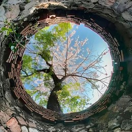 LongPort - 扒井沿