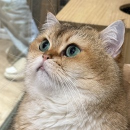 LongPort - 原来是源源呀