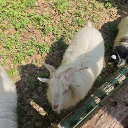 LongPort - 小米冲冲冲/