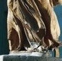 lingae