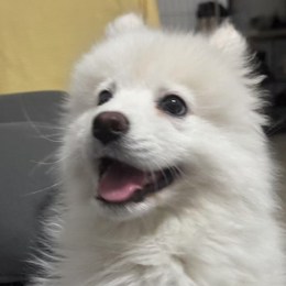 LongPort - 金正恩