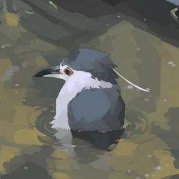 LongPort - 旧用户_7oSl8d