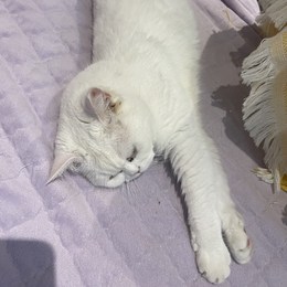 LongPort - StephenWei