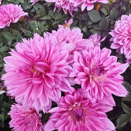 LongPort - 新用户_VQkxJe