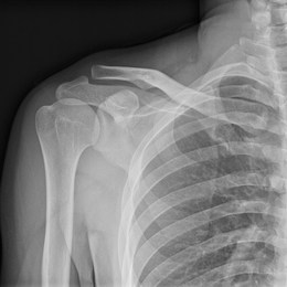 LongPort - 海豹突击队-大队长