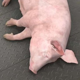 LongPort - 济无咎