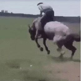 LongPort - Trend Hunter