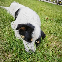 LongPort - 寻常。