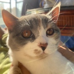 LongPort - Trump win