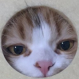 LongPort - 努力赚钱养哆米