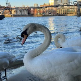 LongPort - Guangwei_2025