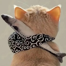 LongPort - 步步高涨