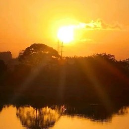 LongPort - 定西动弹