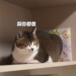 LongPort - 肥肥发财咯