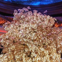 LongPort - 黑驼在此