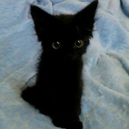 LongPort - 使之发生