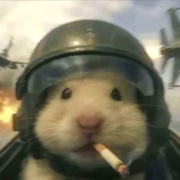 LongPort - 我在牛市里亏大钱