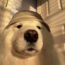 LongPort - 进击的巨人