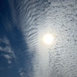 LongPort - 完犊子咯