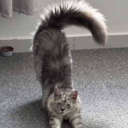 LongPort - Lucky0118