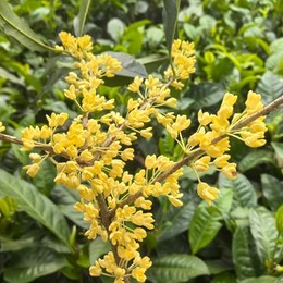 LongPort - 價值投資不要在意得失